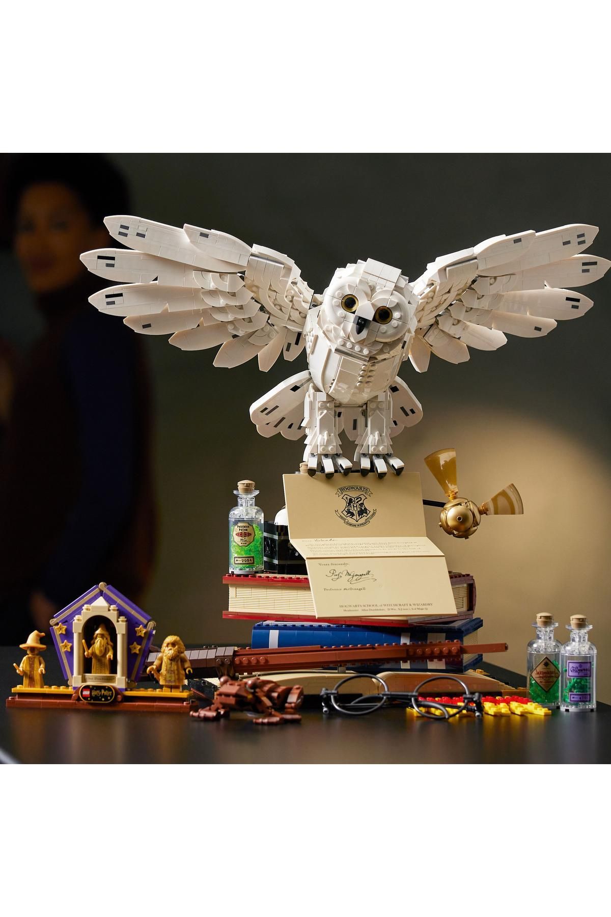 ® Harry Potter™ Hogwarts™ Simgeleri - Koleksiyoncu Seti 76391 - Görsel 3