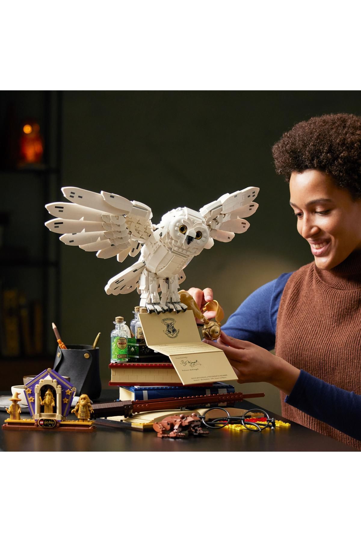 ® Harry Potter™ Hogwarts™ Simgeleri - Koleksiyoncu Seti 76391 - Görsel 4