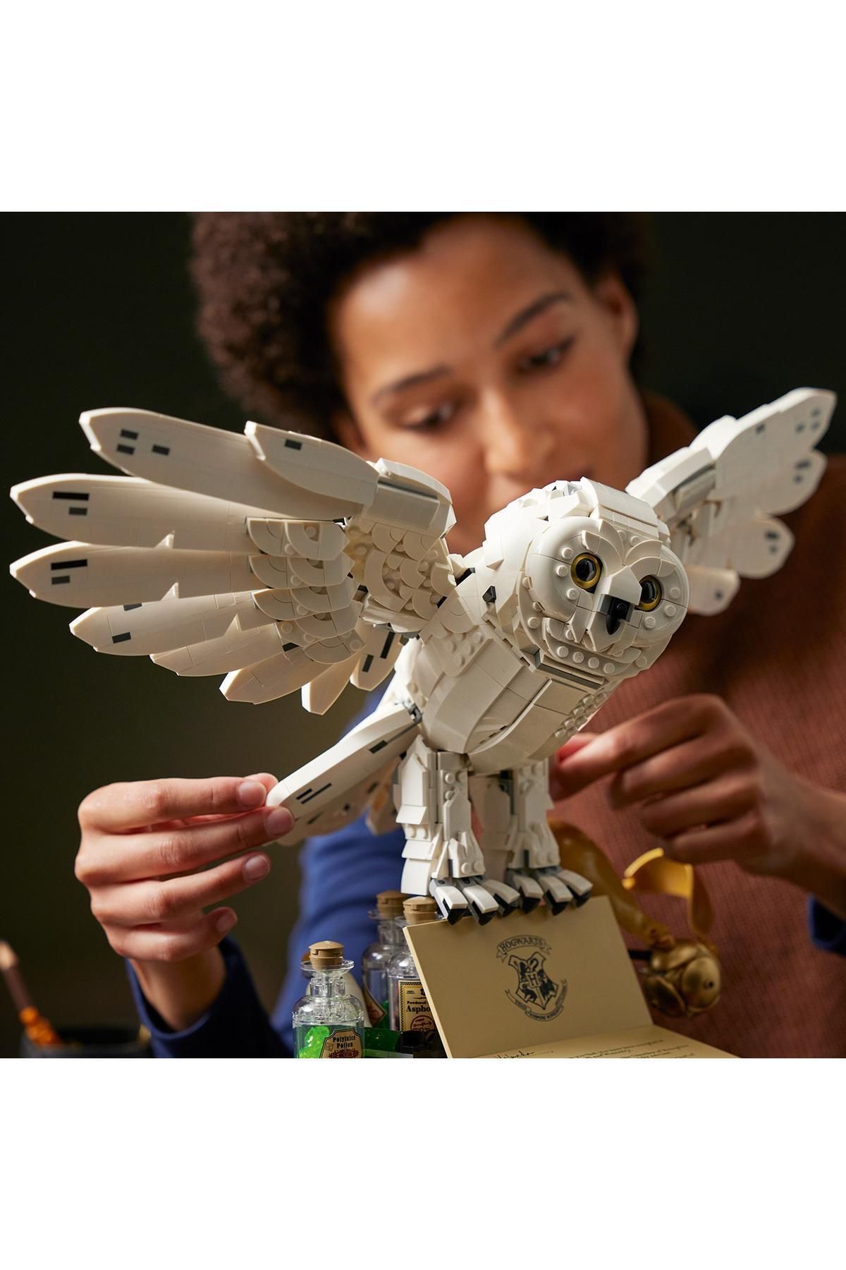 ® Harry Potter™ Hogwarts™ Simgeleri - Koleksiyoncu Seti 76391 - Görsel 8