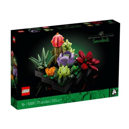 Creator Sukulentler/ Succulents 10309